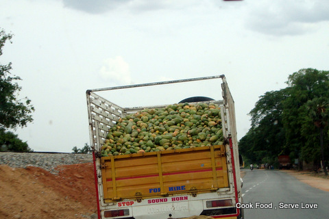 Loads  of Mangoes